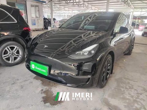 2021 Tesla Model Y Standard Range RWD - ავტომობილი ჩინეთიდან