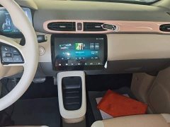 Leapmotor T03 310 Lite Enjoy Edition - ფოტო 12