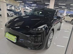 Tesla Model Y Long Range All-Wheel Drive - ფოტო 1