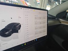 Tesla Model Y Long Range All-Wheel Drive - ფოტო 12