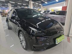 Tesla Model Y Long Range All-Wheel Drive - ფოტო 3