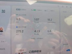 Li Auto L7 Pro - ფოტო 10
