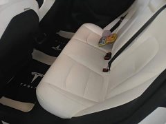 Tesla Model 3 Facelift Standard Range RWD Upgrade 3D1 - ფოტო 16