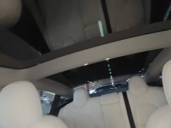 Tesla Model 3 Facelift Standard Range RWD Upgrade 3D1 - ფოტო 17