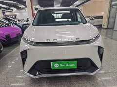 Maxus 9 Long Range Edition - ფოტო 2