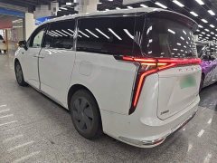 Maxus 9 Long Range Edition - ფოტო 4