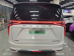 Maxus 9 Long Range Edition - ფოტო 5