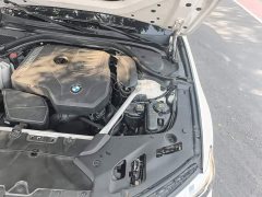BMW 5 Series Facelift 530Li Premier M Sport Package - ფოტო 19
