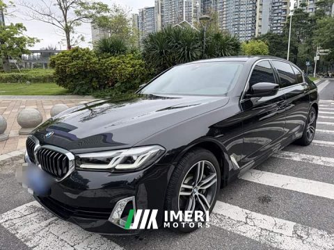 2021 BMW 5 Series 530Li Premier Luxury Package - ავტომობილი ჩინეთიდან