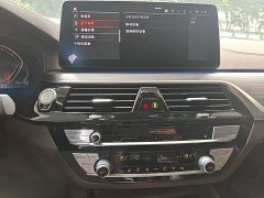 BMW 5 Series 530Li Premier Luxury Package - ფოტო 11