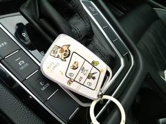 Volkswagen Magotan PHEV GTE Luxury - ფოტო 8