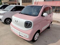 FAW Besturn Xiaoma 2025 222km Dynamic Edition - ფოტო 1