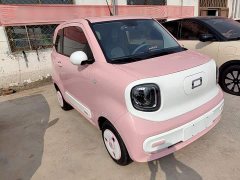 FAW Besturn Xiaoma 2025 222km Dynamic Edition - ფოტო 3