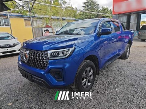 2023 Great Wall Great Wall Pao 2.0T Commercial Auto Diesel 2WD Elite Long Bed GW4D20M - ავტომობილი ჩინეთიდან