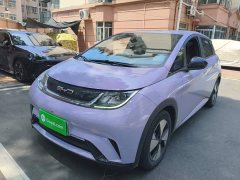 BYD Dolphin 420km Freedom Edition - ფოტო 1