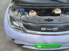 BYD Dolphin 420km Freedom Edition - ფოტო 20