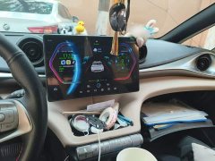 BYD Dolphin 420km Freedom Edition - ფოტო 5