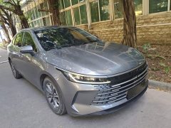 BYD Destroyer 05 Glory Edition DM-i 55KM Luxury - ფოტო 3