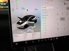 Tesla Model Y Rear-Wheel Drive - ფოტო 11