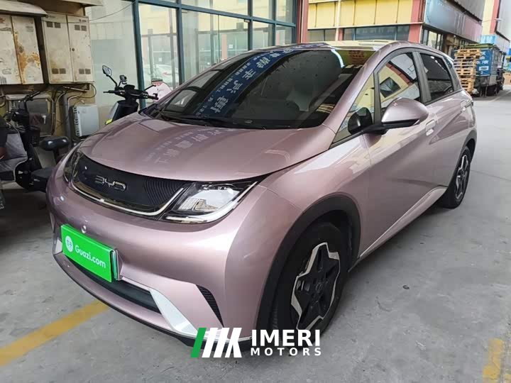 BYD Dolphin 405km Freedom Edition - ავტომობილი ჩინეთიდან