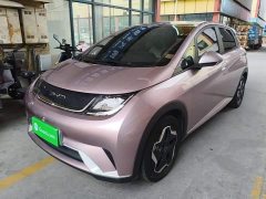 BYD Dolphin 405km Freedom Edition - ფოტო 1