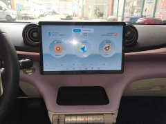 BYD Dolphin 405km Freedom Edition - ფოტო 12