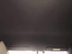 BYD Dolphin 405km Freedom Edition - ფოტო 17