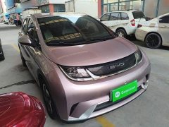 BYD Dolphin 405km Freedom Edition - ფოტო 3