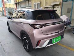 BYD Dolphin 405km Freedom Edition - ფოტო 4