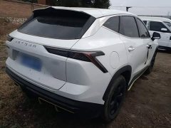 Jetour Jietu Dasheng 1.5T DCT Youth Edition - ფოტო 6