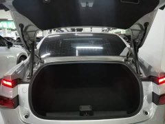 Xpeng P7 P7i 550 Pro - ფოტო 18