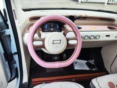 FAW Besturn Xiaoma 222km Cute Horse Plus - ფოტო 10