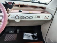 FAW Besturn Xiaoma 222km Cute Horse Plus - ფოტო 12