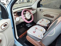 FAW Besturn Xiaoma 222km Cute Horse Plus - ფოტო 15