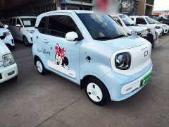 FAW Besturn Xiaoma 222km Cute Horse Plus - ფოტო 3