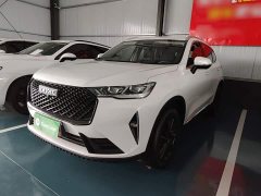Haval H6 2021 Third Generation 2.0T Automatic Two-Wheel Drive Max - ფოტო 1