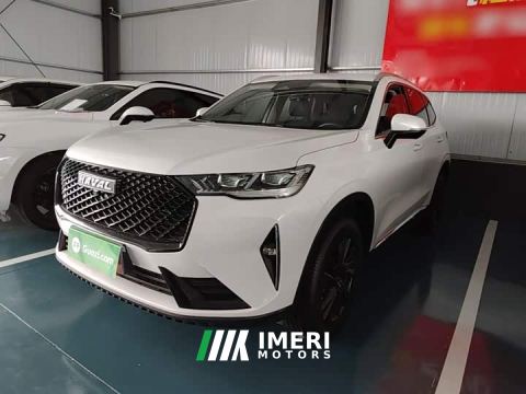 2022 Haval H6 Third Generation 2.0T Automatic Two-Wheel Drive Max