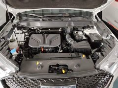 Haval H6 2021 Third Generation 2.0T Automatic Two-Wheel Drive Max - ფოტო 19