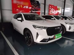 Haval H6 2021 Third Generation 2.0T Automatic Two-Wheel Drive Max - ფოტო 3