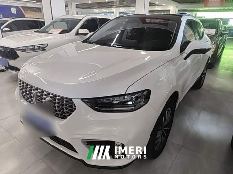 2021 Great Wall WEY VV5 1.5T Two-Wheel Drive Smart Pioneer - ავტომობილი ჩინეთიდან