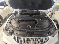 Great Wall WEY VV5 1.5T Two-Wheel Drive Smart Pioneer - ფოტო 19