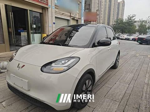 2023 Wuling Binguo 333km Lingxi Connected Plus