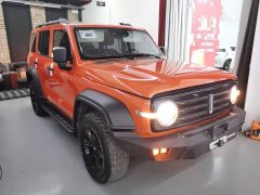 Tank 300 Off-Road Edition 2.0T Conqueror - ფოტო 3