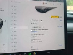Tesla Model Y 2022 Rear-Wheel Drive - ფოტო 11