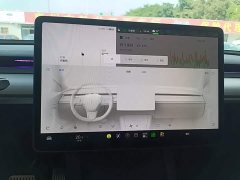 Tesla Model Y 2022 Rear-Wheel Drive - ფოტო 12