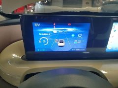 Wuling Binguo 333km Joy Edition - ფოტო 11