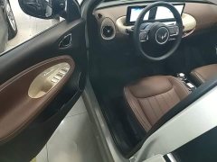 Wuling Binguo 333km Joy Edition - ფოტო 15