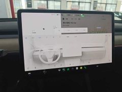 Tesla Model Y Standard Range RWD - ფოტო 12
