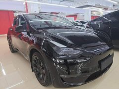 Tesla Model Y Standard Range RWD - ფოტო 3