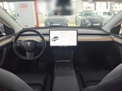 Tesla Model Y Standard Range RWD - ფოტო 9
